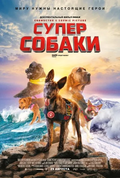 Суперсобаки (2019) онлайн бесплатно