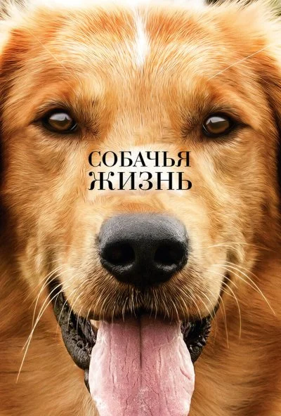 Собачья жизнь (2017) онлайн бесплатно